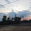 wong_tuban27