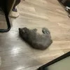awwyuongmaugaixinh