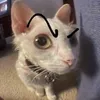 hdemertn.hello