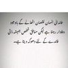 naseeb5665