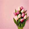 tulip5447