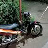 berkahbebek.com98