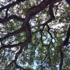 albo_0707