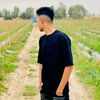 safwat093