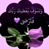 user8808169601617
