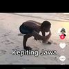 aniq_je1