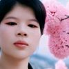 su.su166