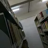 larissa.guimaraes6