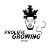 prolificgrowing