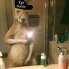 TG7_Mxsic