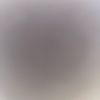 rarr_7788