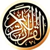 user5347200528316