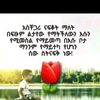 user106240076185