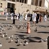 ansakhattak2468