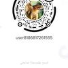 user8186817261555