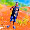 ptrolier13