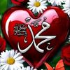 user8003448158623