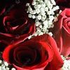 user4125658219727
