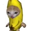 yo.no.soy