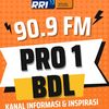 pro1bdl