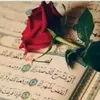user94003753353017