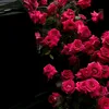 emfz13