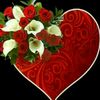 user1077995098570