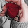 nabila_nabila2543