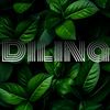 dilina.fernando1