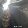 thangdepzaihetcuu