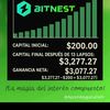 www.tiktok.generando