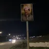 barzanii20001