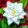 user1981530961672