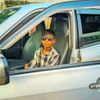 nohan756