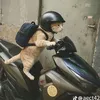 xtanz_mtt