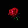 big_jhay6