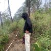 pnduuuu_00