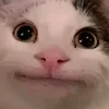 1.241.0