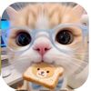 nova_itsme12