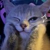 hehee_surprise69