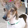 edgar.azevedo3