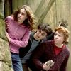 _harry_potter___