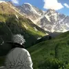 naoseioqcolocamn