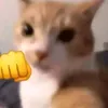 melonchihuy