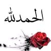 shahzadinuv7