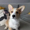 ukbooklover1