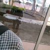 izam.0510