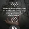 bilqayr00