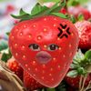 nagtasfriy