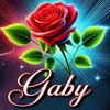gabiota3686